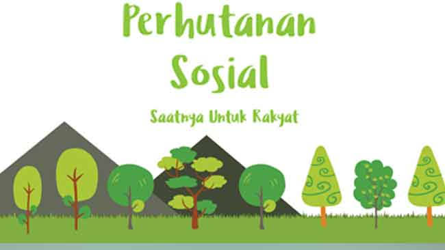 Luasan Perhutanan Sosial di Riau Mencapai 162 Ribu Ha