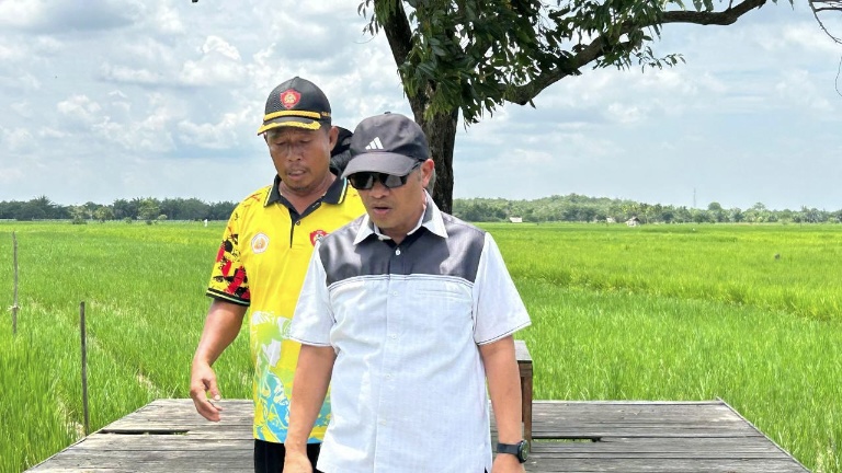 Tanggul Jebol, Saung Rusak, Petani Minta Diperbaiki Jika KBS Menang