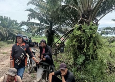 Ratusan Petani Usir Alat Berat Milik PT SBP Dari Skip Hilir Kecamatan Rengat