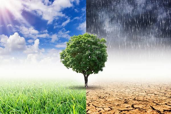 Pemanasan Global Diperkirakan Capai 3,1 Derajat Celsius Tanpa Tindakan Mitigasi yang Kuat
